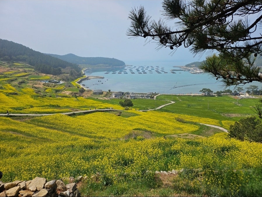 라라랜드 사진