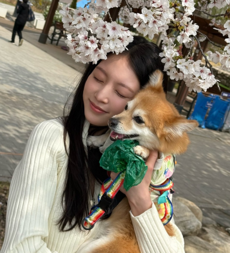 공승연 필모그래피 파헤치다 느낀 소름, 드라마 속 그 대비가 맞나?
