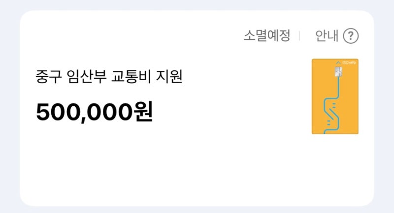 인천광역시 임산부 교통비 지원