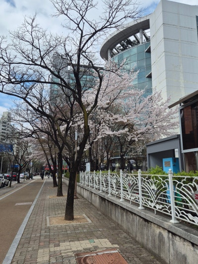 사진 3