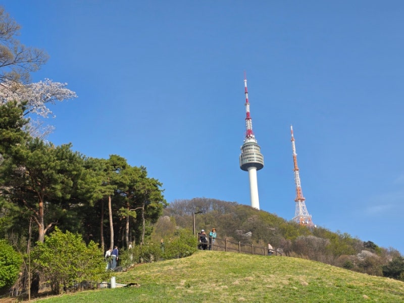2026 YTN 남산가족걷기대회 완보 후기