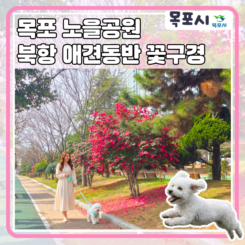 사진 2