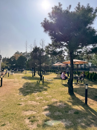 사진 7