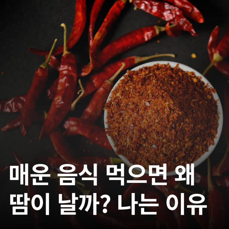  매운 음식 먹으면 왜 땀이 날까? 땀의 관계, 몸 반응 정리