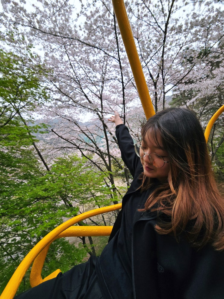  전라도 광주 가볼만한곳 봄 광주 여행 1박2일 코스 무등포레스트