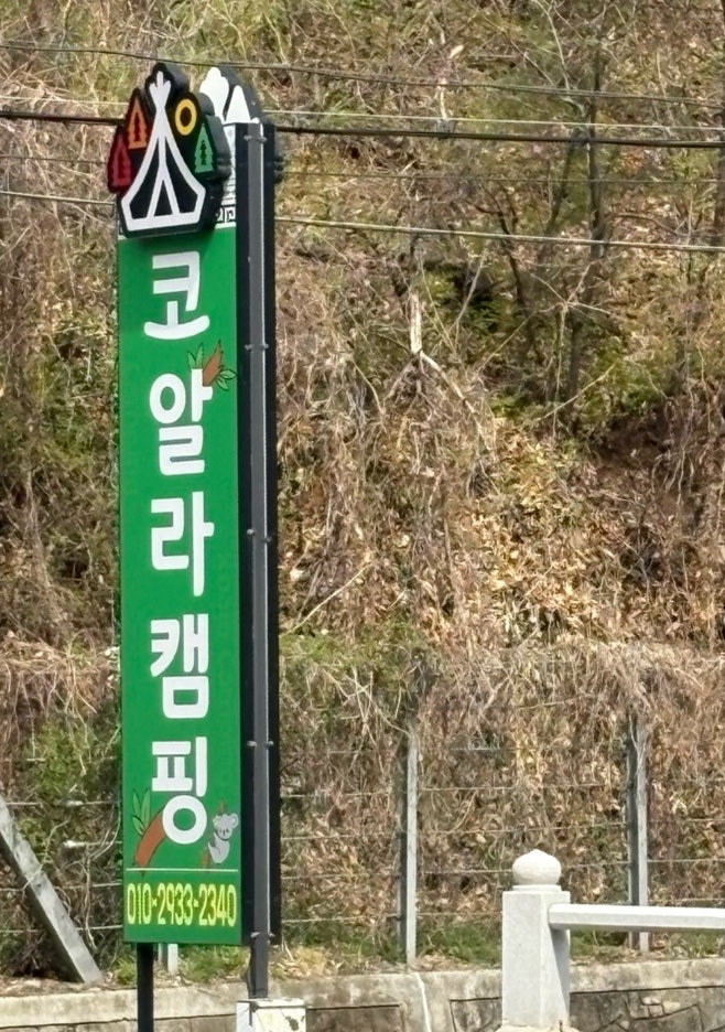 사진 5