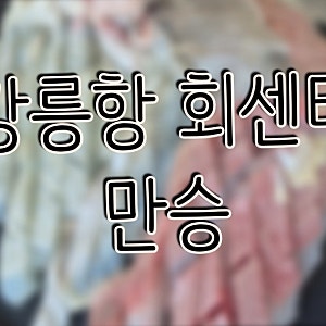 [강릉/횟집] 안목해변 강릉항회센터 만승 가성비, 신선함, 바다뷰까지 상차림비o