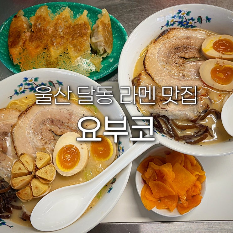  울산 달동 라멘 맛집 요부코 남구 삼산 점심 혼밥 일본식 밥집 핫플 웨이팅 또간집
