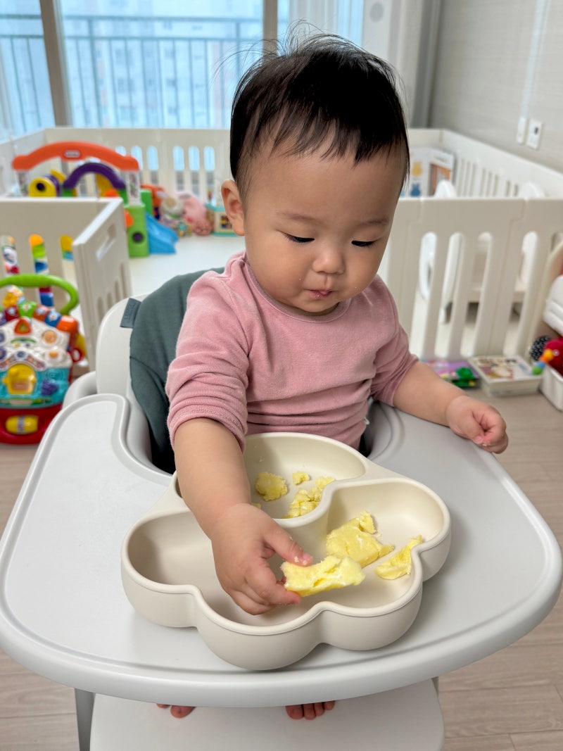 돌전 아기 간식 추천, 요거트 계란빵 만들기: 첫 요거트 언제부터