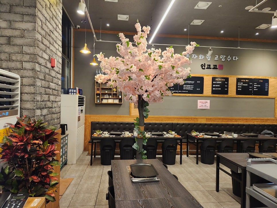 인고고 사진 2