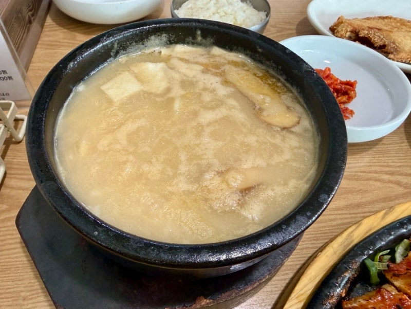 양양여행 추천코스 (양양 감나무집/바다뷰제빵소/더앤리조트/더앤온천)