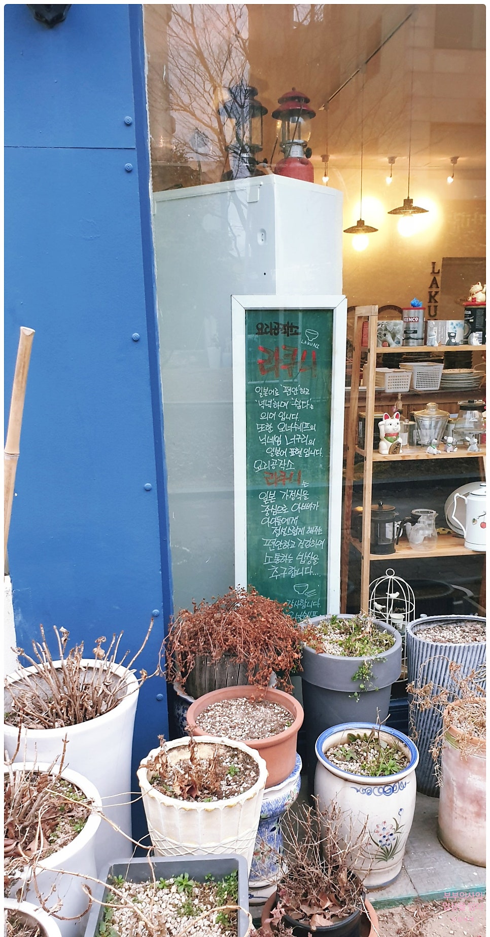 라쿠니 사진 3