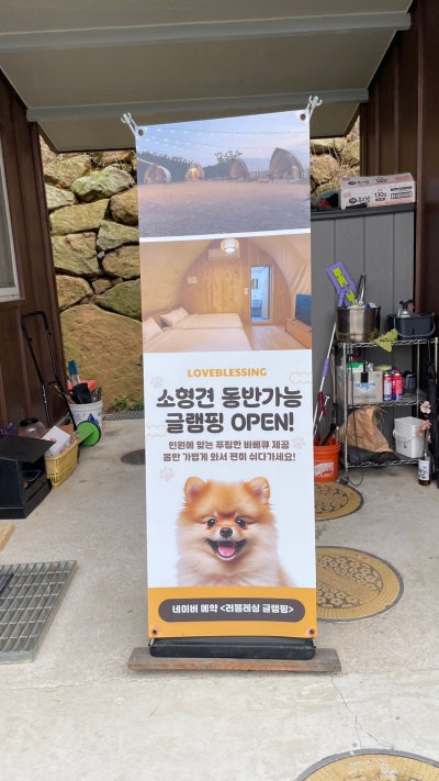 사진 3