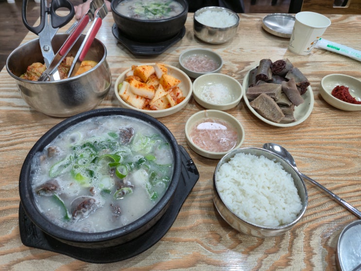  [청화집, 산장가든] 서울에서 세종까지 먹부림 로드 병천순대부터 산장가든까지 내돈내산 정복기