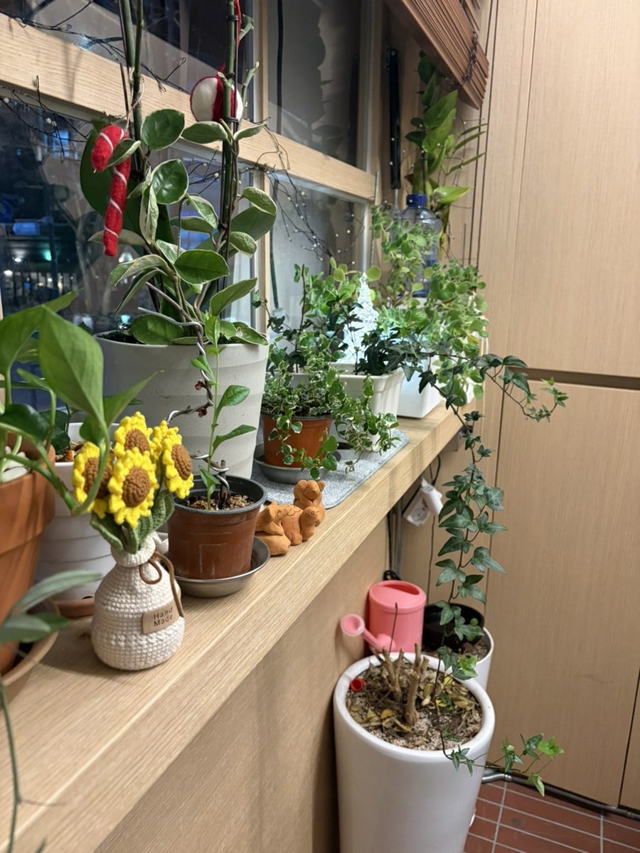 선유해 사진 5