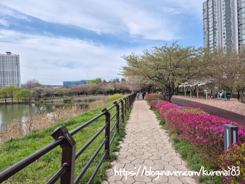 사진 9