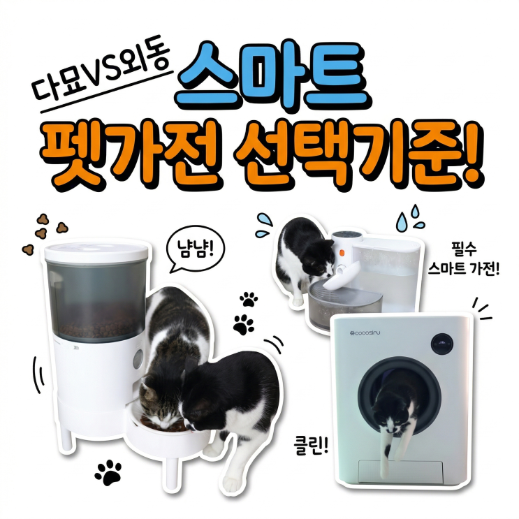  고양이 스마트 가전, 다묘 vs 외동 기준이 완전히 다릅니다