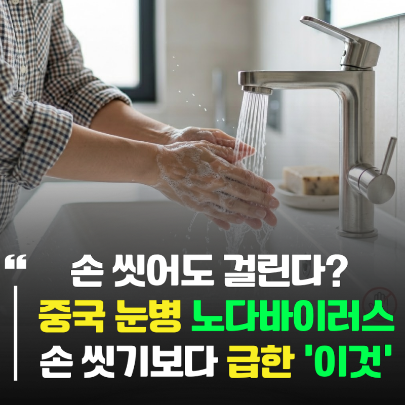 손 씻어도 안 죽는다? 중국 눈병 원인 '노다바이러스' 박멸하는 유일한 방법
