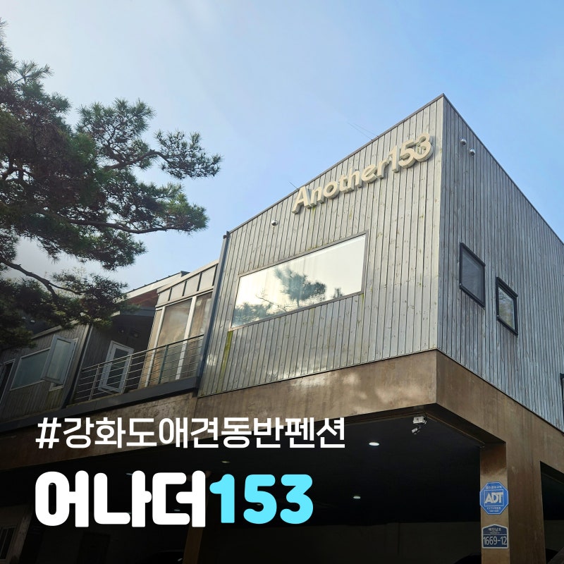 사진 6
