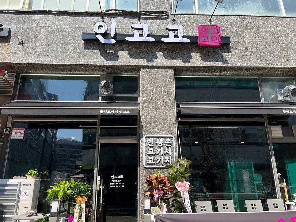 인고고 사진 1