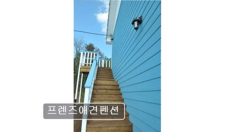 사진 2