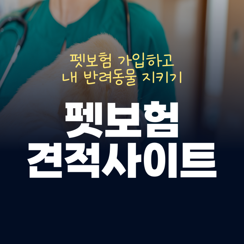 사진 9