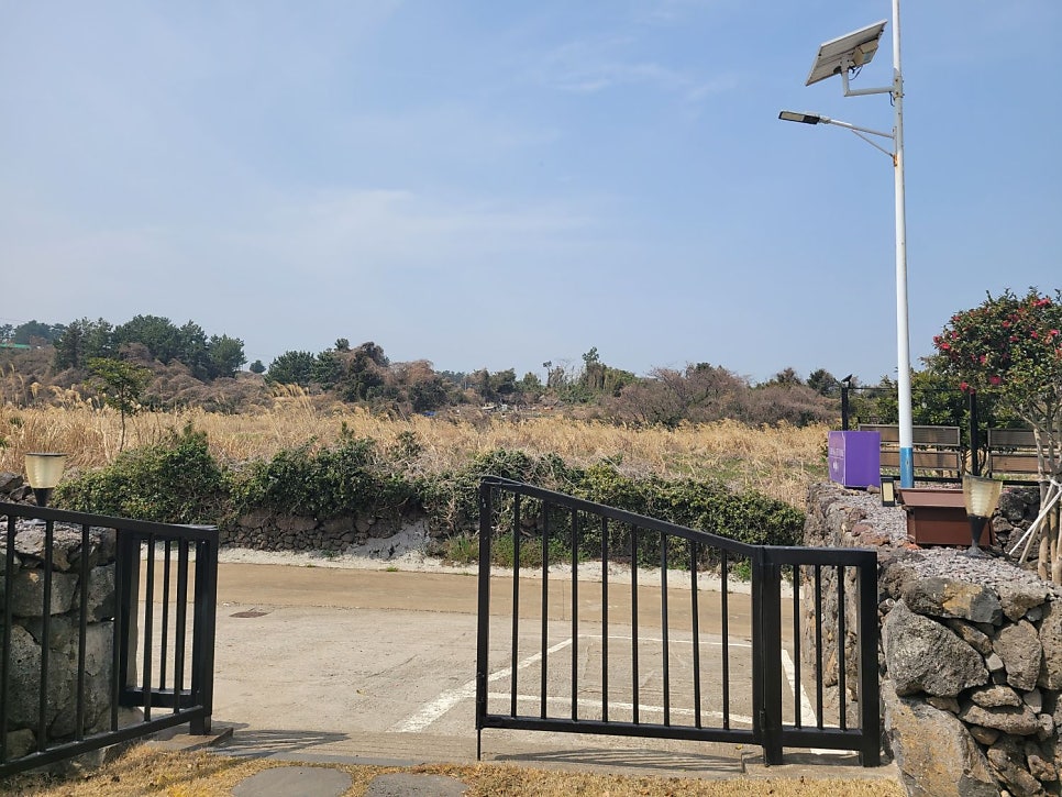 제주 버베나더홈 사진 3