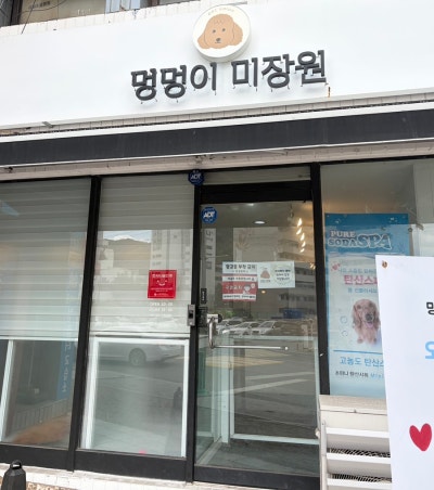 사진 4