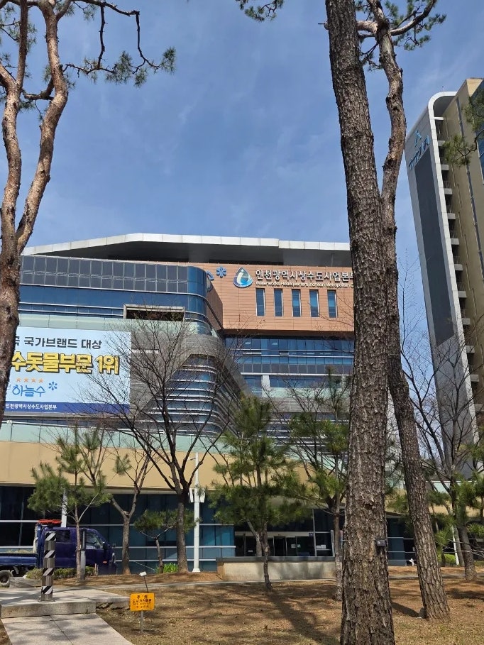 금돈 사진 2