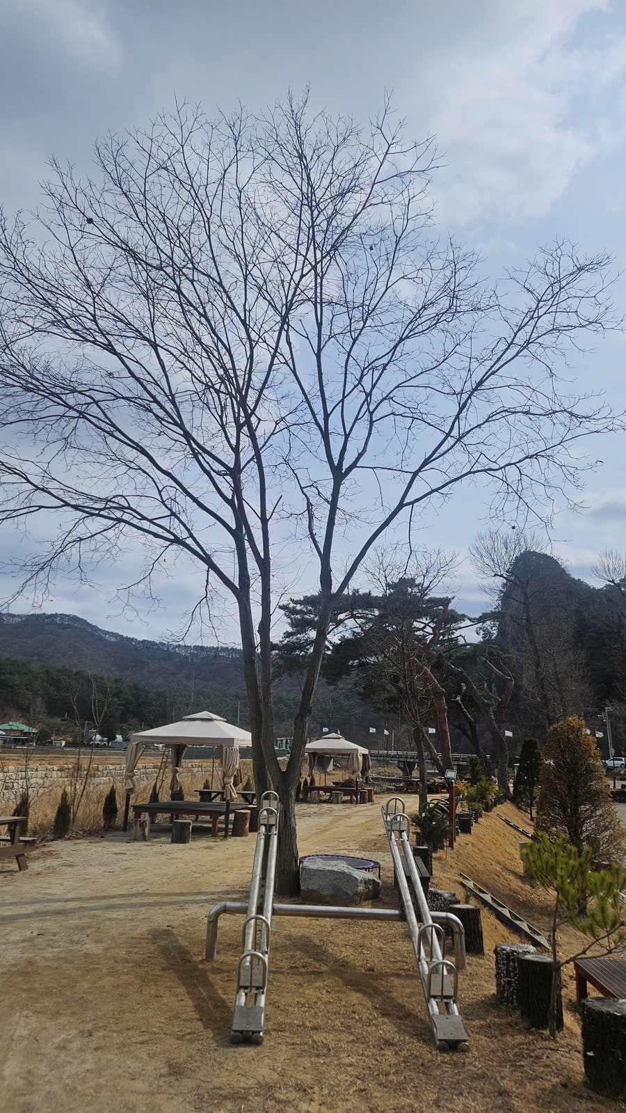 칠봉송정캠핑장 사진 4