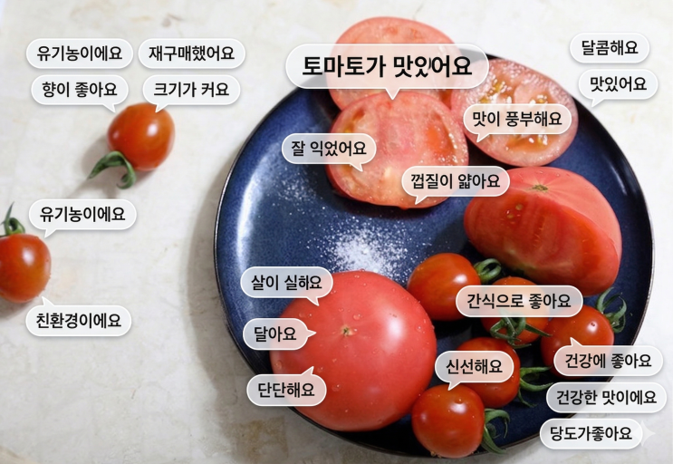  [현장코칭] 충남농업6차산업센터와 함께하는 유기농 토마토 달기농장의 새로운 도약