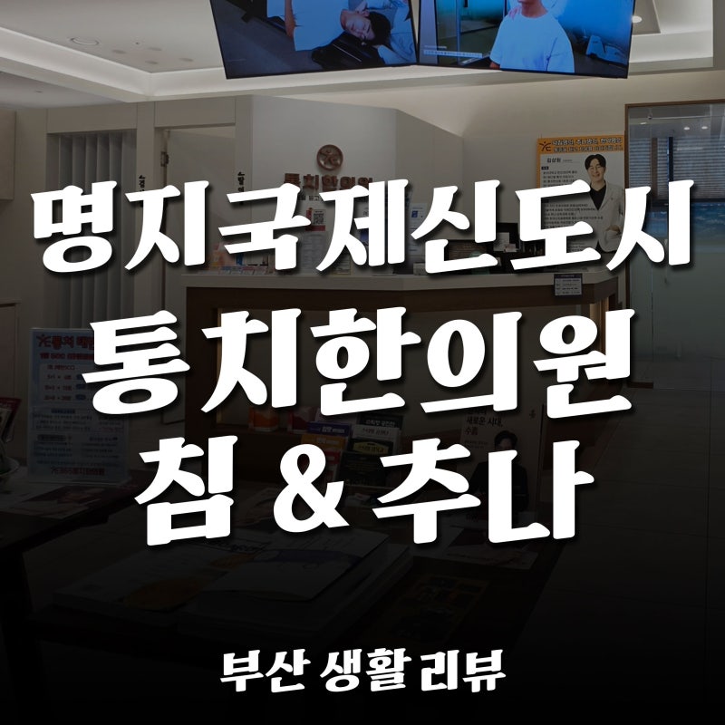 [건강 관리 리뷰] 명지국제신도시에 화타가? - 365통치한의원 - 침 & 추나요법 후기