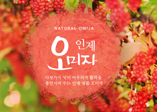 6시 내고향 인제 오미자 구매처와 택배 가능 여부, 방문 팁 정리