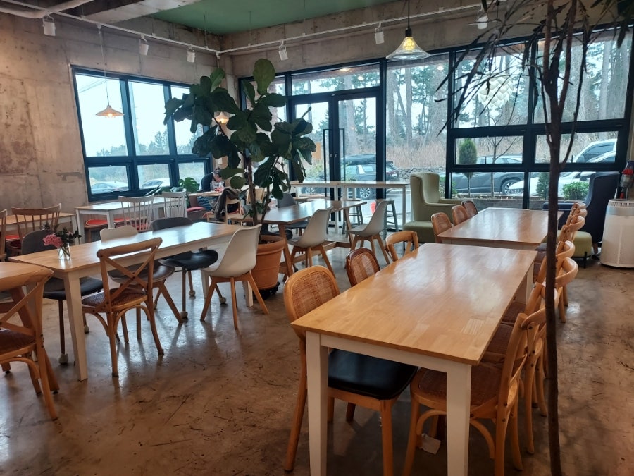 테라피쉬 사진 3