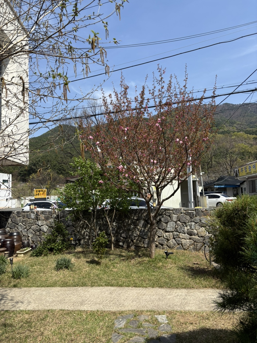 그린캐빈 사진 3