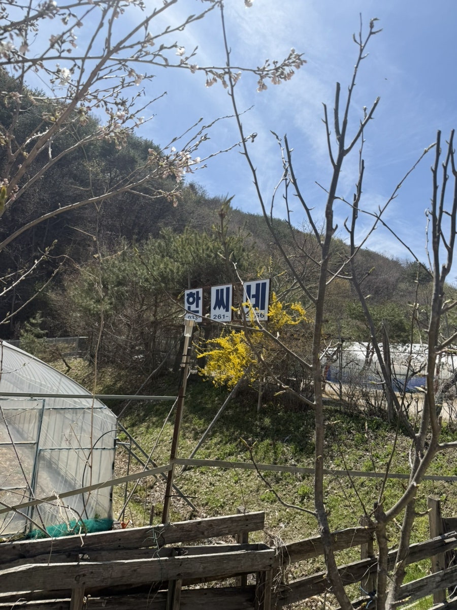 한씨네집 사진 2