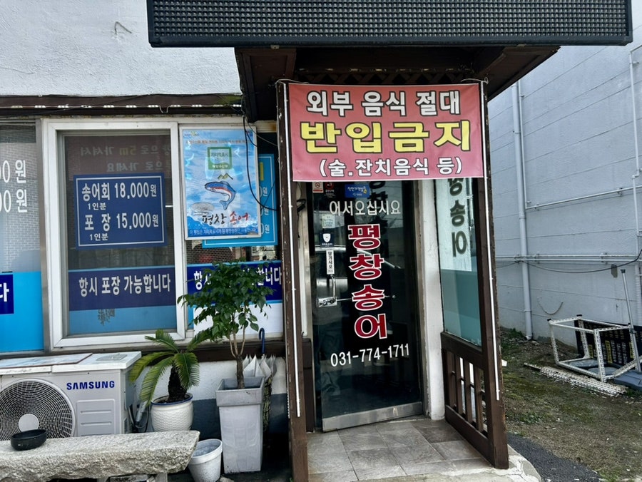 평창송어 사진 2