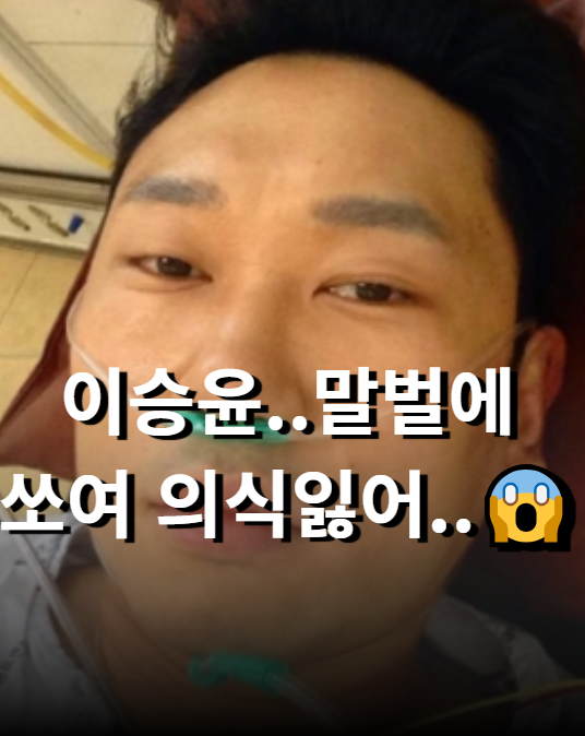 나는 자연인이다 이승윤 장수말벌에 쏘여 의식잃어.."안타까운 소식"전해..