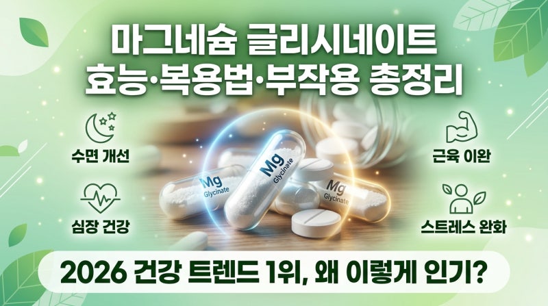 마그네슘 글리시네이트 효능·복용법·부작용 총정리|2026 건강 트렌드 1위, 왜 이렇게 인기일....