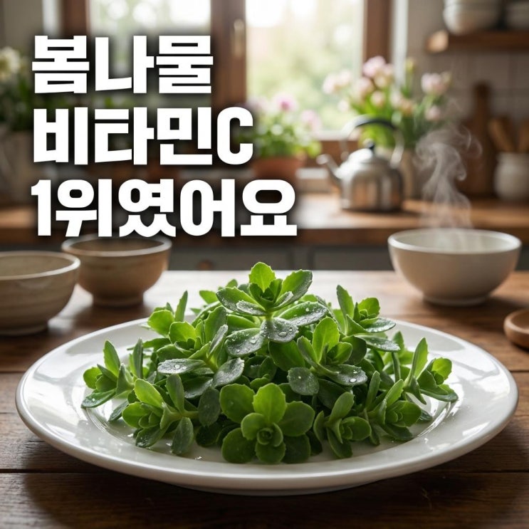  4월 제철 돌나물, 봄나물 비타민C 1위인 이유 있어요