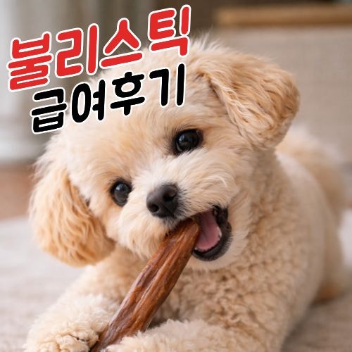 강아지 불리스틱 후기｜10분 넘게 씹는 ‘시간순삭 간식’