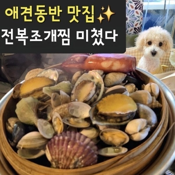  부천 전복파는청년｜애견동반 가능한 원종동 조개찜 맛집 솔직후기