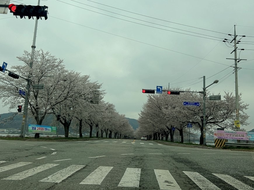 청양나선형도로 사진 1