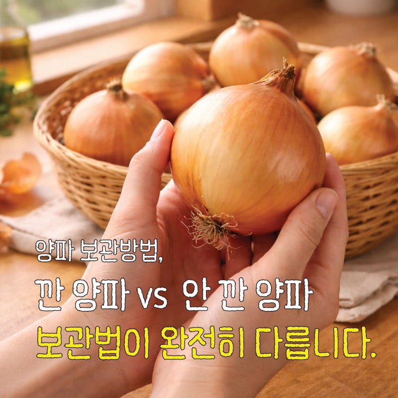 깐 양파 보관방법, 랩 하나로 보관 기간이 달라집니다. (양파 곰팡이, 효능까지)