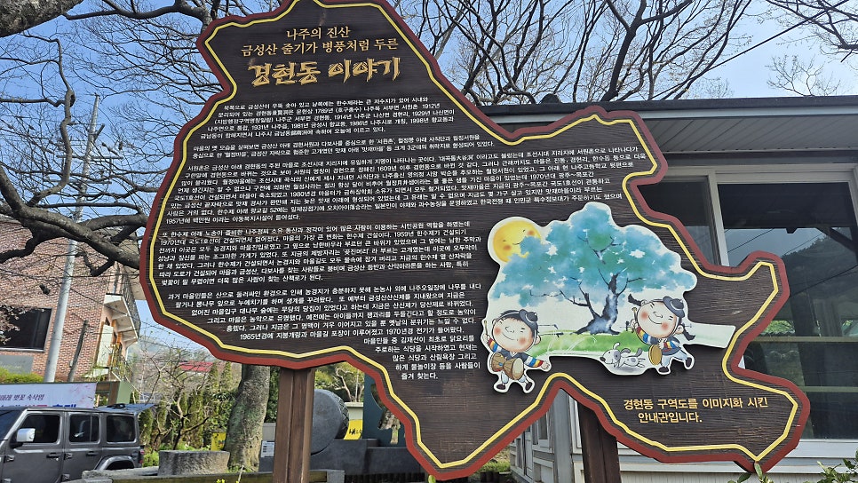 거북이 사진 3