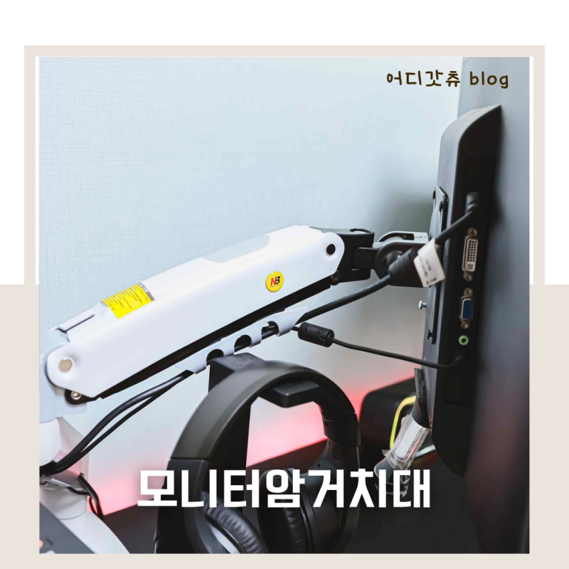테리어