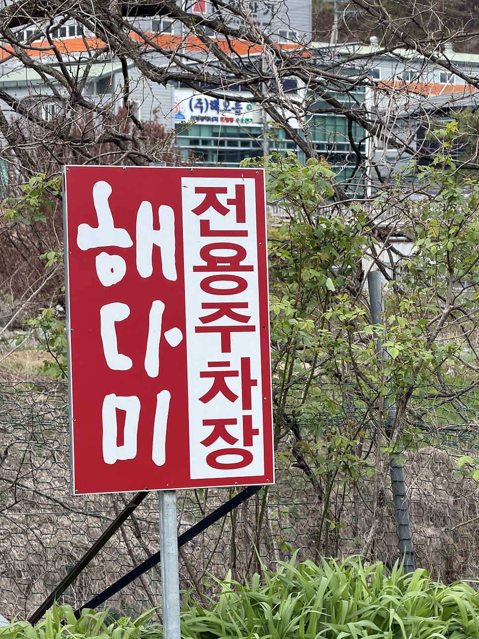 해다미 사진 2