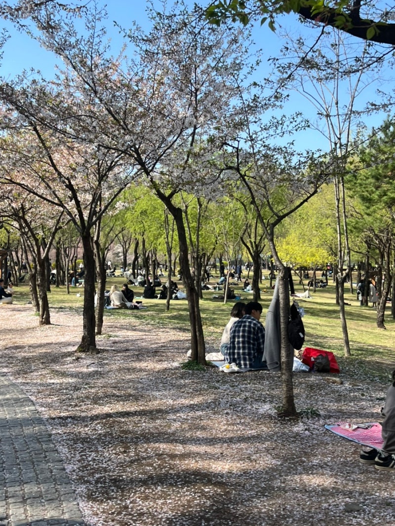 아이와 북서울 꿈의숲 놀이터 많은 공원, 주차 팁까지!