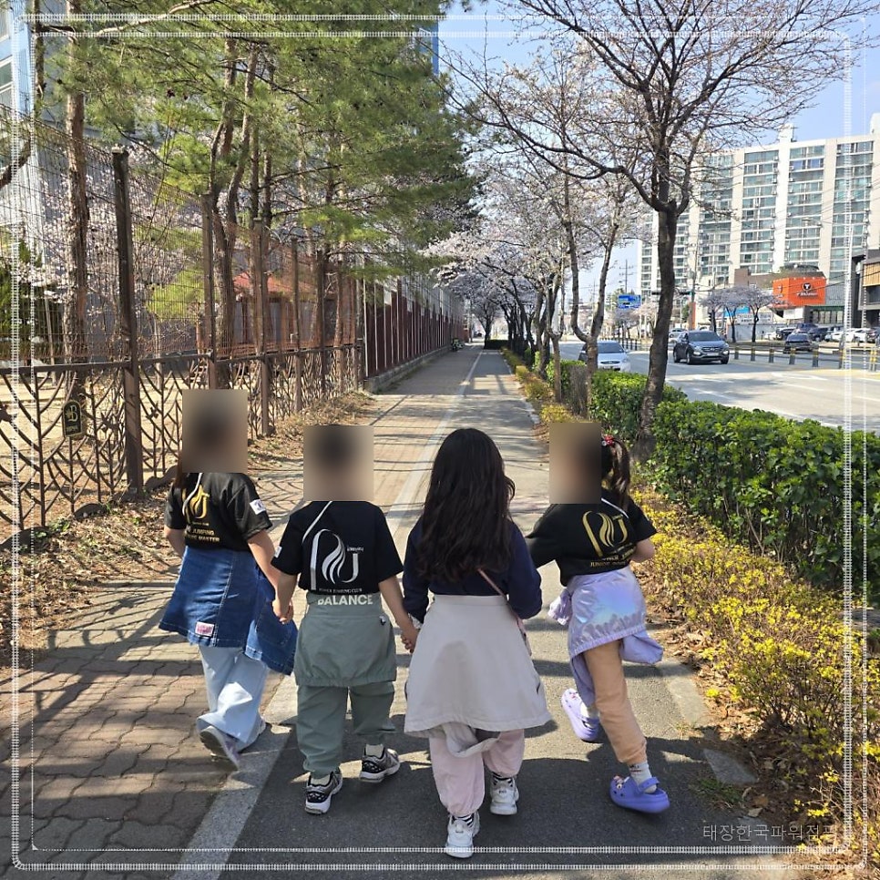 태장한국파워점핑 사진 6