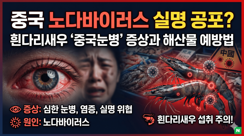 중국 노다바이러스 실명 공포? 흰다리새우 '중국눈병' 증상과 해산물 예방법